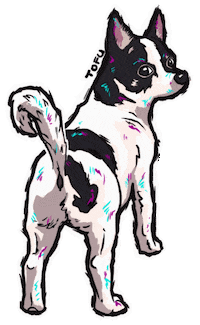 Dog Chihuahua Sticker by Pásalo Chancho