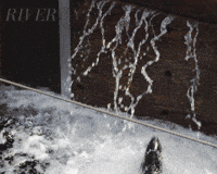 Water Swimming GIF by Madman Films