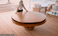 cat money GIF