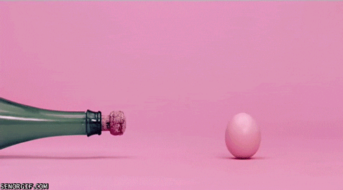 egg champagne GIF by Cheezburger