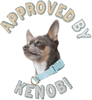 Dog Sticker by AwooPets