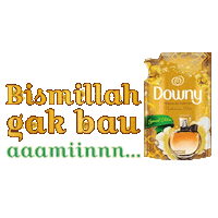 Ramadan Idulfitri Sticker by Pantene Indonesia