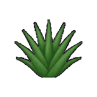 Blue Agave Mexico Sticker by Suerte Tequila