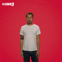 Whats Up What GIF by SWR3