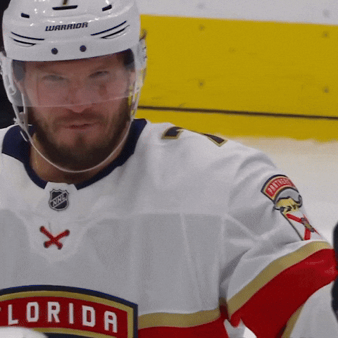 Dmitry Kulikov Smile GIF by Florida Panthers