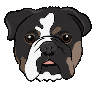 English Bulldog Illustration Sticker by Es Super Fun