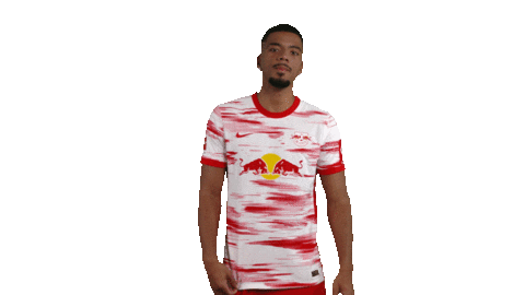 No Problem Football Sticker by RB Leipzig