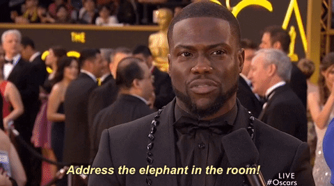 Red Carpet Oscars GIF