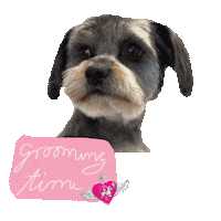 Dogs Hello Sticker by Steffis Hundestudio