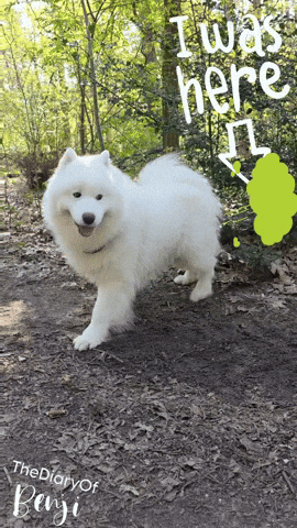 Poop Spraying GIF