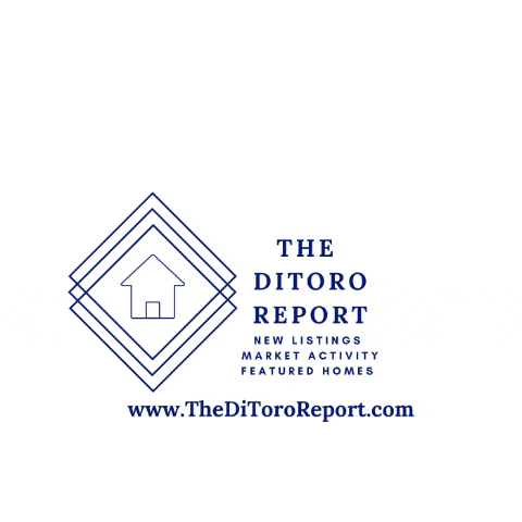 TheDitororeport the ditoro report GIF