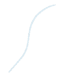 Wave Line Sticker