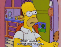 homer simpson GIF