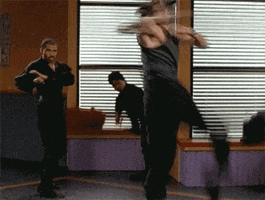 ninja kick GIF by Power Rangers