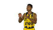 Ewe Baskets Basketball Sticker by EWE Baskets Oldenburg