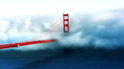 San Francisco Art GIF