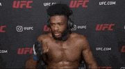 Aljamain Sterling Sport GIF by UFC