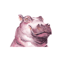 Nilpferd Sticker by mogli_de