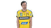 Handball-Bundesliga Fun Sticker by LIQUI MOLY HBL