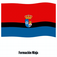 Bandera Andalucia GIF by Formación Ninja