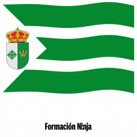 Flag Spain GIF by Formación Ninja