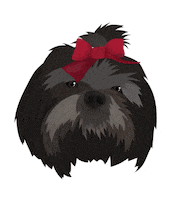 Mirandooodle Sticker
