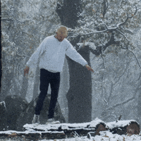 violetmaimbourg cannonball manorofanimals violetmaimbourg GIF