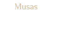 kapoha boho musa musas kph Sticker
