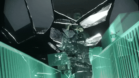 Bruce Ball Hogs GIF by Protect