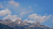 wyoming GIF
