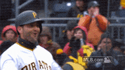 hr GIF by MLB