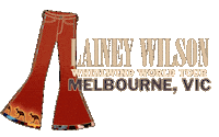 Country Music Tour Sticker by Lainey Wilson