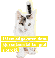 Mucek Sticker by Lidl Slovenija