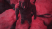music video love GIF