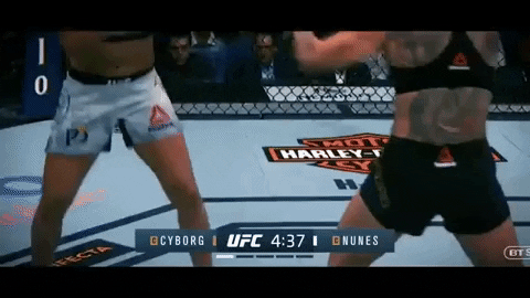 giphygifmaker fight ufc mma boxing GIF