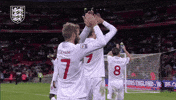 Applaud David Beckham GIF by England