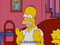 homer simpson GIF