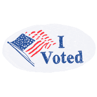 Voting Election 2020 Sticker by Joe Biden