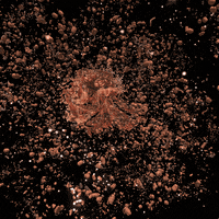 reinbijlsma trippy crypto nft alien GIF