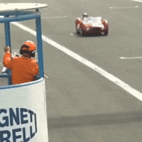peterautoracing champion drapeau finish course GIF