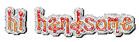 handsome Sticker