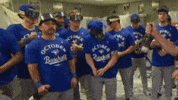 Blue Jays Baseball GIF by Toronto Blue Jays