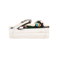 Car Drive Sticker by Bluestone Sunshields