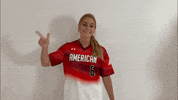 thealliancefastpitch softball fastpitch the alliance fastpitch alliance fastpitch GIF