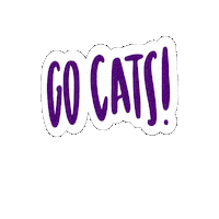 Panthers Sticker by UNI Athletics