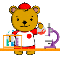maplebearjpa bear science maple maplebear Sticker