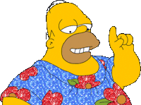 homer STICKER