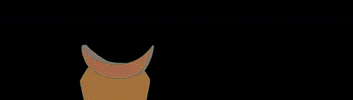 Animation GIF by Danski