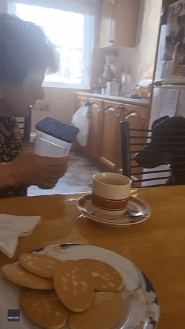 'It's No Good for You': Italian Grandma Scolds Biscuit-Loving Dog