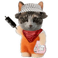 Cat Nu Sticker